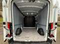 Ford Transit Kasten 350 L3 Trend Blanco - thumbnail 13