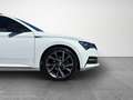 Skoda Superb 4x4 SPORTLINE TDI DSG Weiß - thumbnail 9