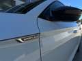Skoda Superb 4x4 SPORTLINE TDI DSG Weiß - thumbnail 23