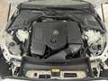 Mercedes-Benz C 200 C 200 4M T All-Terrain Avantgarde/Navi/Pano-Dach Weiß - thumbnail 36