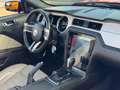 Ford Mustang Convertible 3.7 V6 aut. *TARGA ITALIANA* Rot - thumbnail 12