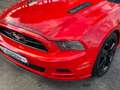 Ford Mustang Convertible 3.7 V6 aut. *TARGA ITALIANA* Rot - thumbnail 8