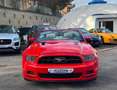 Ford Mustang Convertible 3.7 V6 aut. *TARGA ITALIANA* Rot - thumbnail 2
