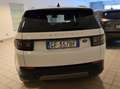 Land Rover Discovery Sport Discovery Sport I 2020 2.0d td4 mhev awd 163cv Weiß - thumbnail 9
