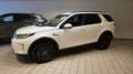 Land Rover Discovery Sport Discovery Sport I 2020 2.0d td4 mhev awd 163cv Weiß - thumbnail 1