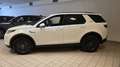 Land Rover Discovery Sport Discovery Sport I 2020 2.0d td4 mhev awd 163cv Weiß - thumbnail 7