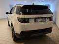 Land Rover Discovery Sport Discovery Sport I 2020 2.0d td4 mhev awd 163cv Weiß - thumbnail 8