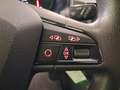 SEAT Ibiza 1.0MPI Reference+PDC+KLIMA+BLUETOOTH Bleu - thumbnail 24