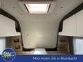 Tabbert Pantiga 550 E Sparen Sie 20.107 Euro!!! Blanc - thumbnail 13