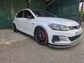Volkswagen Golf GTI GTI TCR Start-Stopp Weiß - thumbnail 5