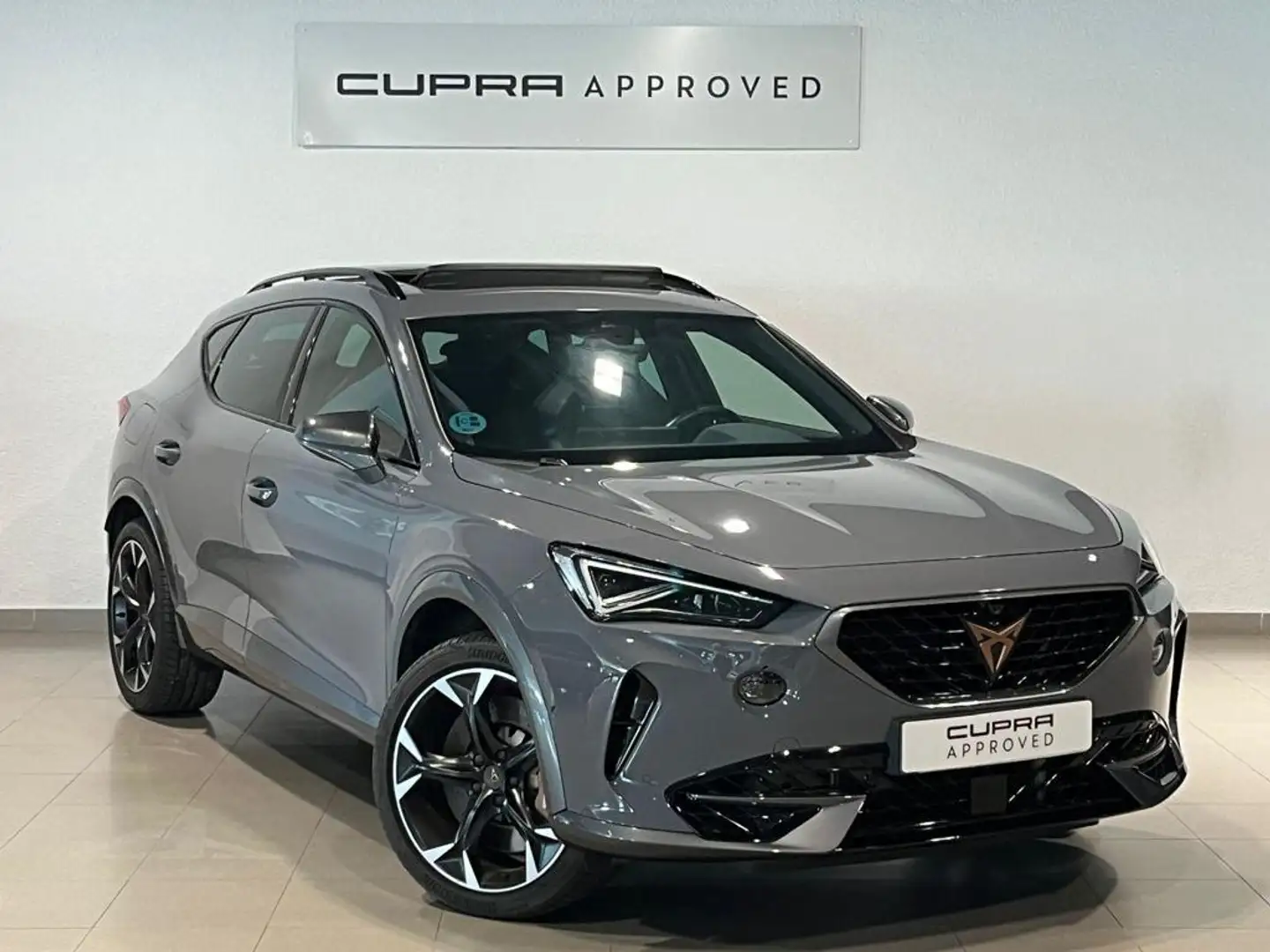 CUPRA Formentor 2.0 TSI 310 VZ DSG 4Drive Grau - 1