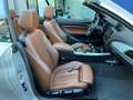 BMW 220 2-serie Cabrio 220i Centennial High Executive M-Sp Grijs - thumbnail 17
