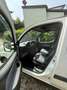 Fiat Doblo Doblo 1.4 Active Bianco - thumbnail 5