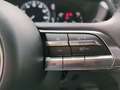 Mazda MX-30 Klimaaut.|ACC|Kamera|NAVI|LED|SHZ|CarPlay Grijs - thumbnail 20