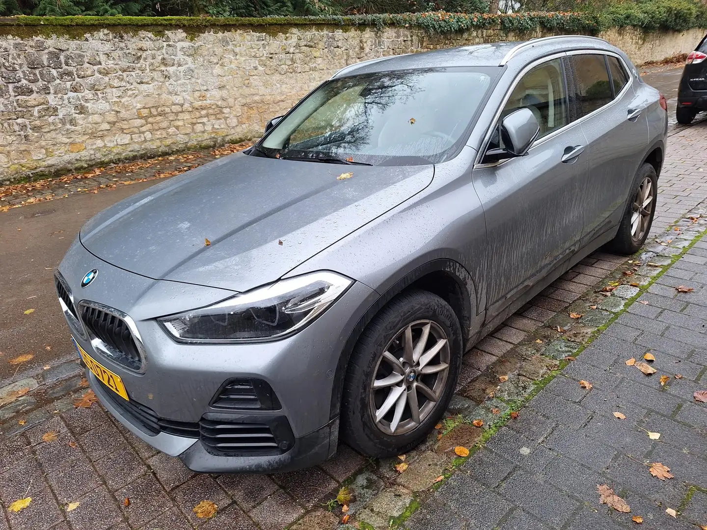 BMW X2 X2 2.0iA sDrive20 OPF Grijs - 1