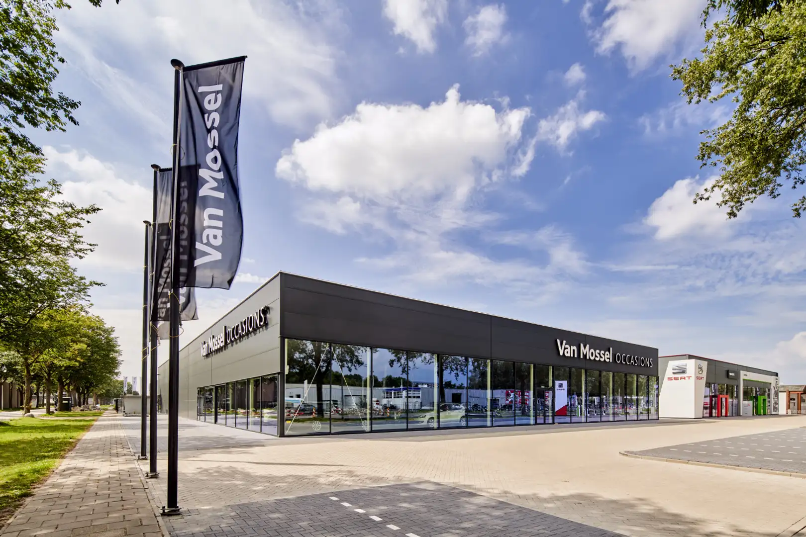 Skoda Enyaq iV 80 Gris - 2