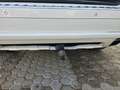 Volkswagen Touareg 3.0 TDI GANCIO DI TRAINO Blanc - thumbnail 20