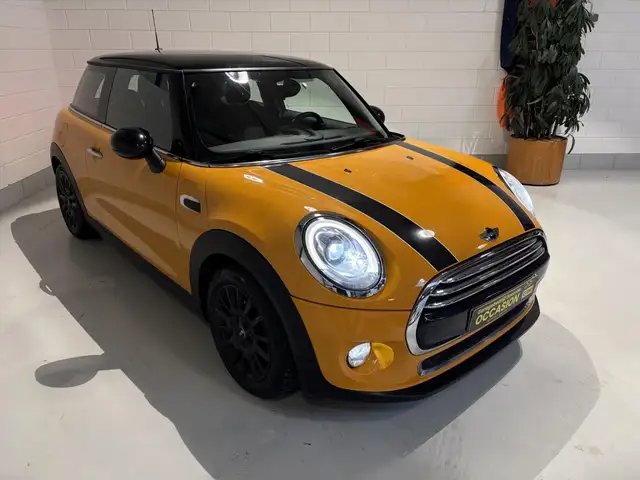 MINI Mini
