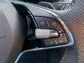 Skoda Superb Combi SportLine 4x4 2.0 TDI+Anhängerkupplung+Navi Grau - thumbnail 14