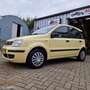 Fiat Panda 1.1 Active Geel - thumbnail 9