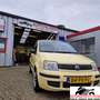 Fiat Panda 1.1 Active Geel - thumbnail 1