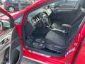 Volkswagen Golf Variant Alltrack 2,0 TDI 4Motion 150PS Allrad topAusstatt Rot - thumbnail 14