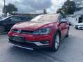 Volkswagen Golf Variant Alltrack 2,0 TDI 4Motion 150PS Allrad topAusstatt Rot - thumbnail 13