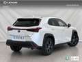 Lexus UX 250h 2.0 Premium 2WD Weiß - thumbnail 4