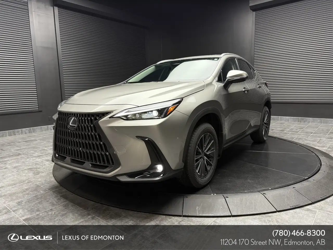 2026 Lexus NX