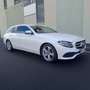 Mercedes-Benz E 220 Estate 220d 9G-Tronic Blanco - thumbnail 4