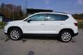 SEAT Ateca 1,6 Style TDI Weiß - thumbnail 3