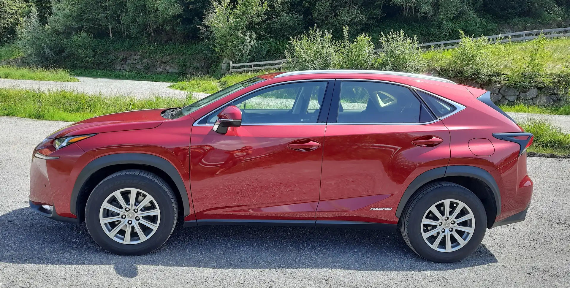 Lexus NX 300h Business Hybrid Aut. Rouge - 1