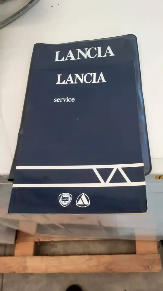 Lancia Delta 2.0 16v HF Integrale Evoluzione, foto 9