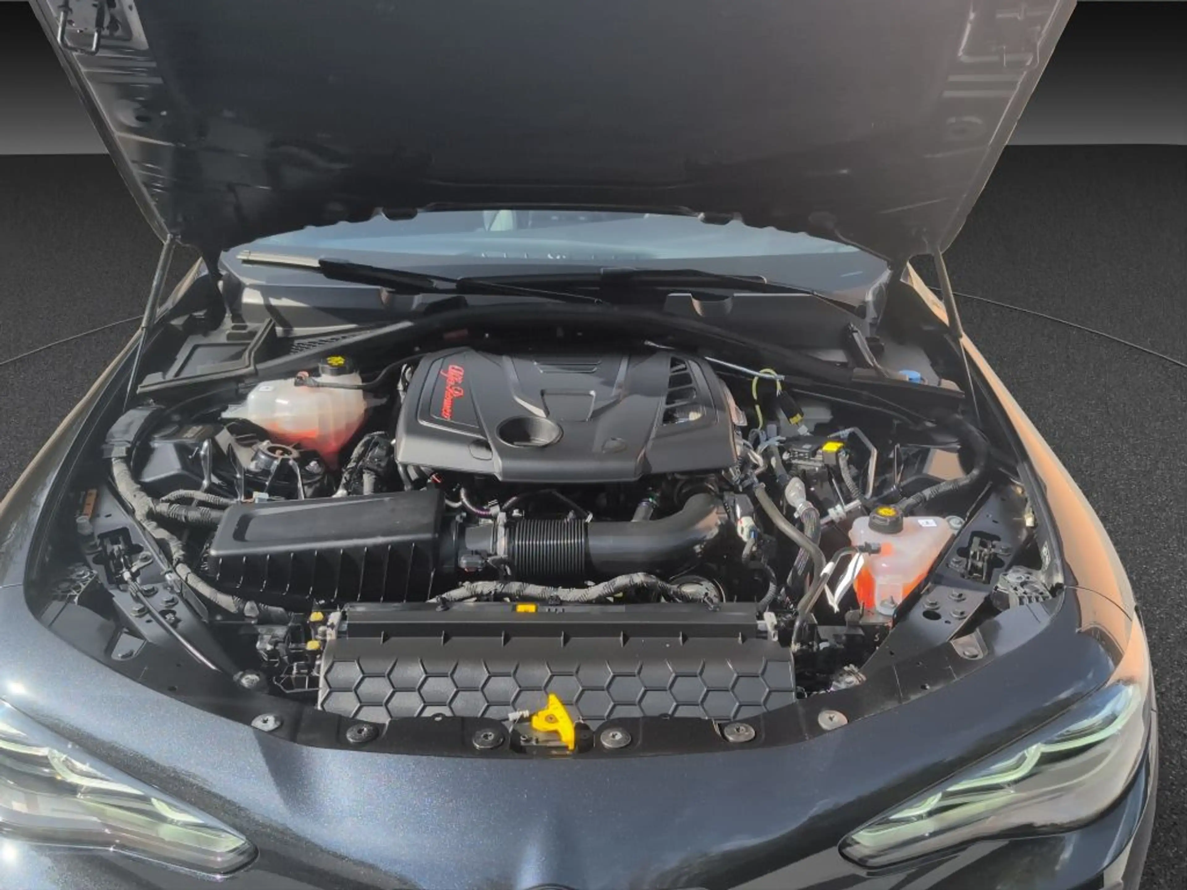 Alfa Romeo Giulia GIULIA 280PS Q4 VELOCE FACELIFT LED MATRIX NAVI — photo 15