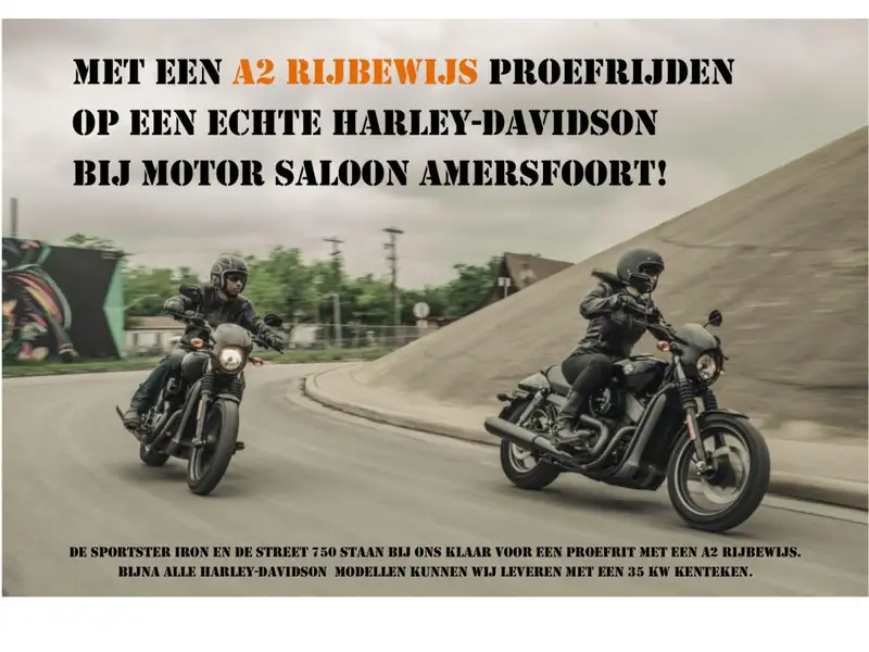 Harley-Davidson Sportster Custom 53 - foto 3