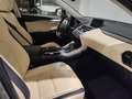 Lexus NX 300 300h Executive 4WD + Navibox Gris - thumbnail 7