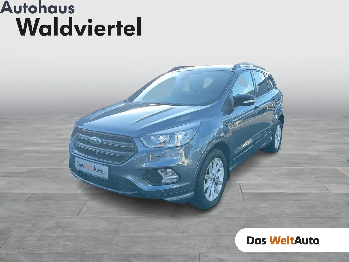 Ford Kuga 2,0 TDCi ST-Line Blauw - 1