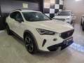 CUPRA Formentor 2.0 TDI 150 Blanco - thumbnail 2