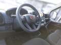 Fiat Ducato Fiat Ducato L2H2 9-Sitzer Kombi *Rampe Alb - thumbnail 12