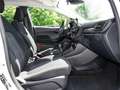 Ford Fiesta Trend 1.1 LED+Klima+ParkPilot+5-Türer Klima Navi Blanco - thumbnail 4
