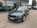 Skoda Kamiq Style AHK elektrisch Grau - thumbnail 3