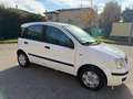 Fiat Panda 1.2 - NEOPATENTATI - 12 MESI DI GARANZIA - Bianco - thumbnail 2