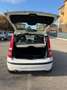 Fiat Panda 1.2 - NEOPATENTATI - 12 MESI DI GARANZIA - Bianco - thumbnail 5