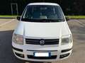 Fiat Panda 1.2 - NEOPATENTATI - 12 MESI DI GARANZIA - Bianco - thumbnail 1