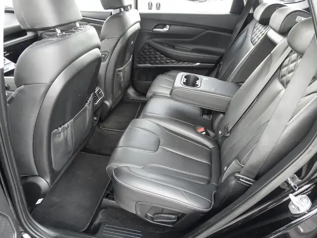 Hyundai Santa Fe view 15