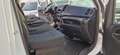 Iveco Daily 35C18 PASSO 4100 CON CASSA -3.0 MJT 180 CV EURO 6 Blanco - thumbnail 13