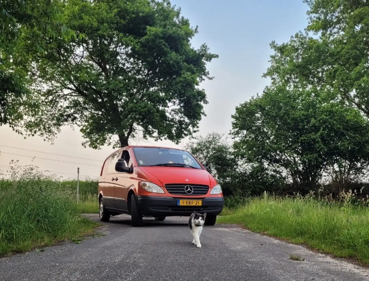 Mercedes-Benz Vito Rood - 1