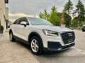 Audi Q2 2.0 TDI QUATTRO - S-TR 150 CV - UFFICIALE AUDI Weiß - thumbnail 5
