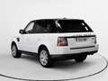 Land Rover Range Rover Sport 3.0SDV6 SE Aut. Blanco - thumbnail 4