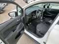 Opel Crossland 1.2 81kW (110CV) Edition - thumbnail 5